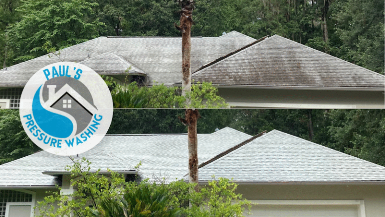 1245 4f123e05ef14 768x432