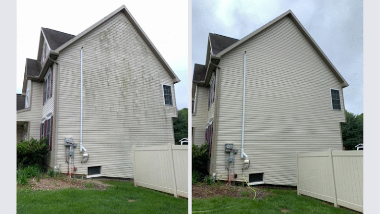 1266 2b4077c09031 768x432