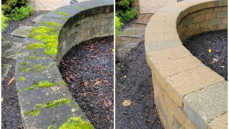 1897 d3e789532748 768x432