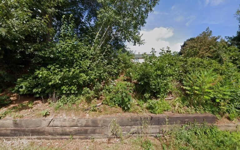 4270 f0236d942d91 768x480