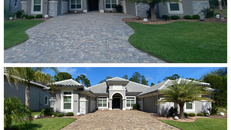 4517 533ea81d1672 768x432