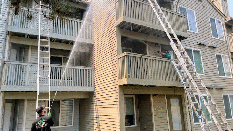 504 cf8a08b3e919 768x432