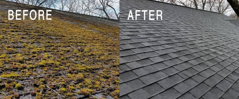 536 e0a57887587c 768x320