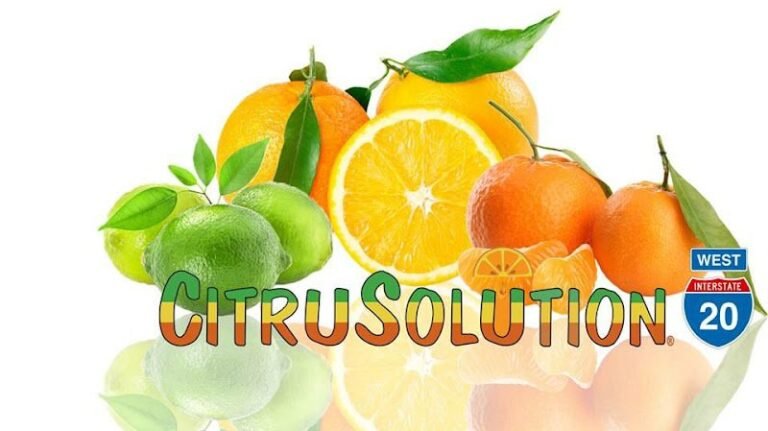 6629 89e6cb26c83c 768x431