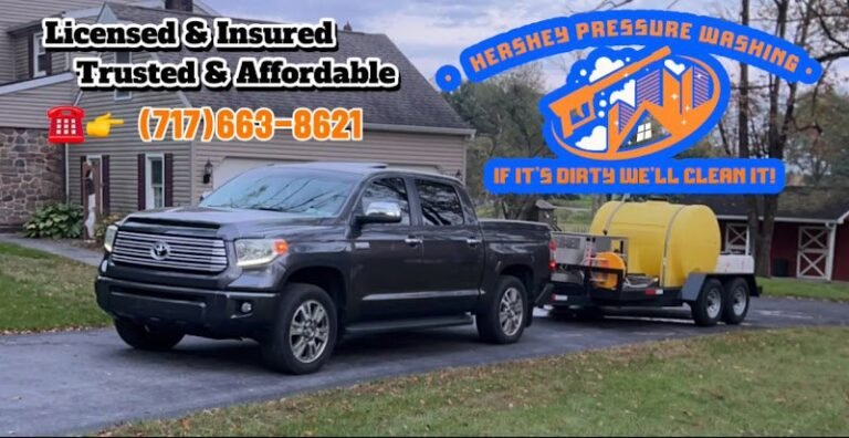 7752 91f8619f21f6 768x396