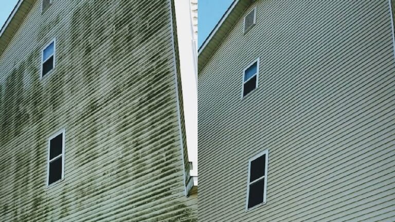 7790 79a0202d24de 768x432