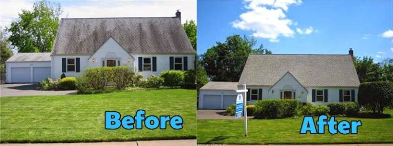 7957 ee811ae46298 768x286