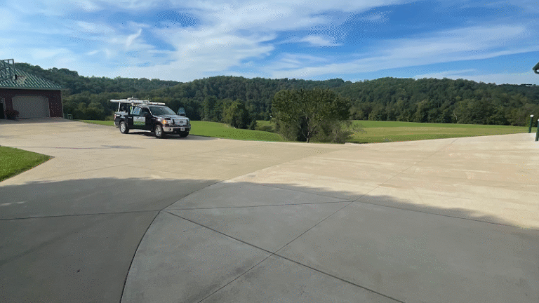 8496 3f3dd23c9e12 768x432