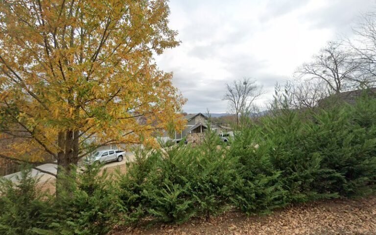 8888 715274e49b92 768x480